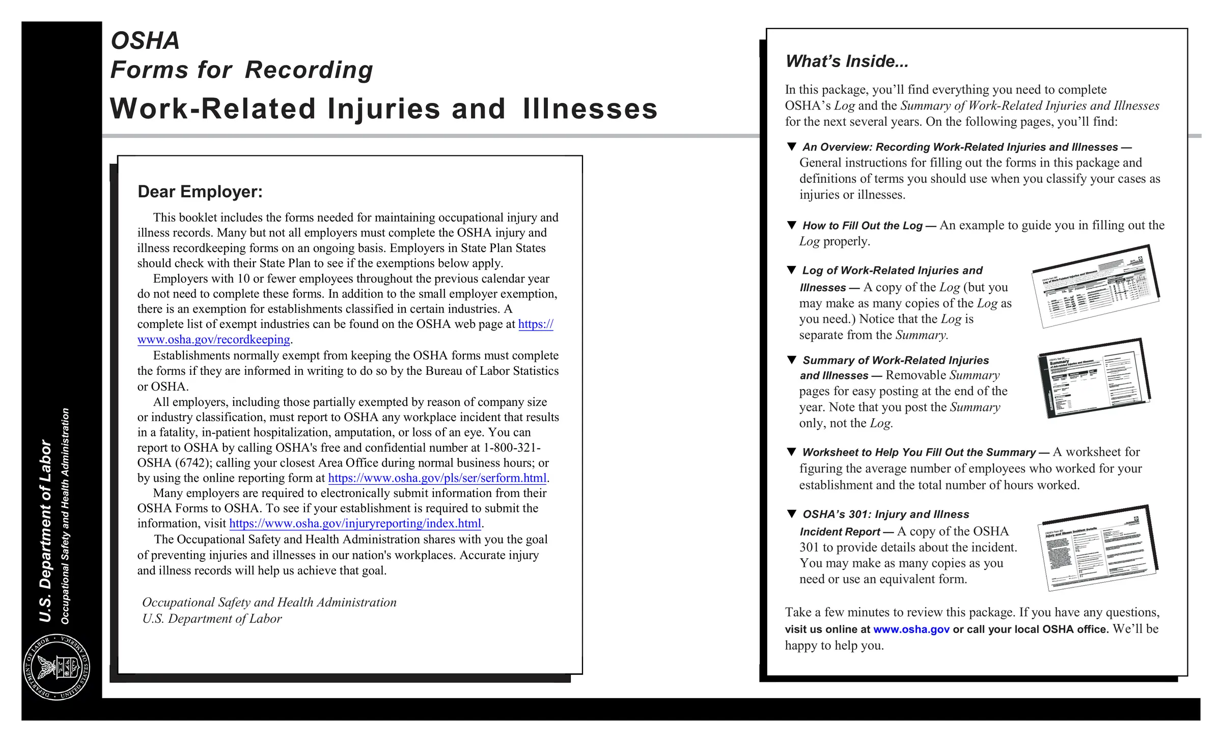 OSHA Form 300 preview